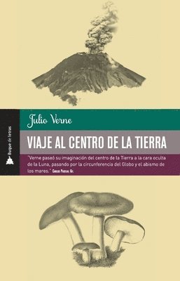 Julio Verne - Viaje al centro de la tierra, Häftad
