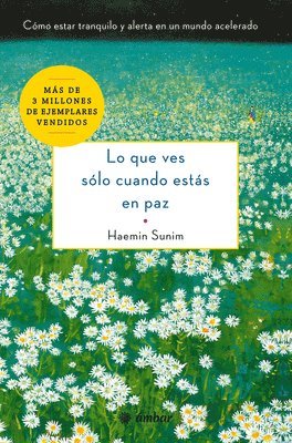 bokomslag Lo Que Ves Sólo Cuando Estás En Paz: Cómo Estar Tranquilo Y Alerta En Un Mundo Acelerado