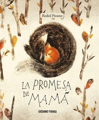 bokomslag La Promesa de Mamá