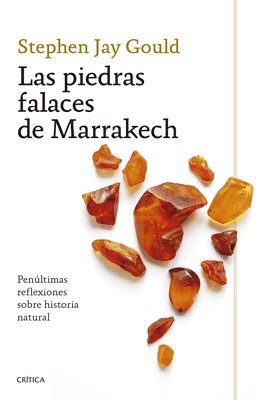 Las Piedras Falaces de Marrakech: Penltimas Reflexiones Sobre Historia Natural / The Lying Stones of Marrakech 1