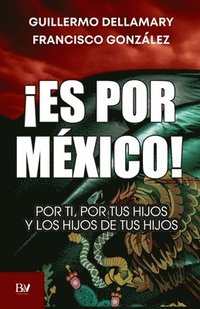 bokomslag ¡Es por México!: Por ti, por tus hijos y por los hijos de tus hijos.