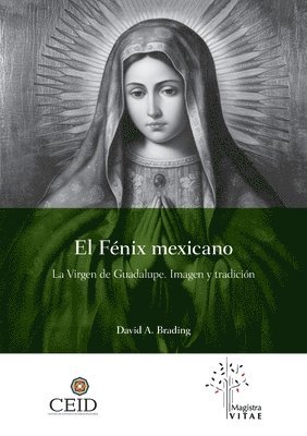 bokomslag Fénix mexicano. La Virgen de Guadalupe. Imagen y tradición