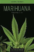 bokomslag Marihuana, El Camino a la Legalizacion