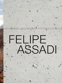bokomslag Felipe Assadi