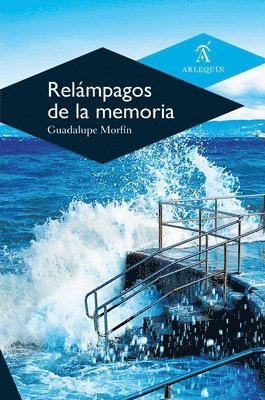 bokomslag Relámpagos de la memoria