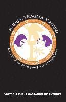 Victoria Elena Castanon De Antunez - Pareja, trauma y Edipo: La dificultad de las parejas para vincularse, Häftad