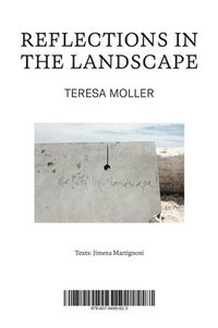 bokomslag Teresa Moller: Reflections in the Landscape