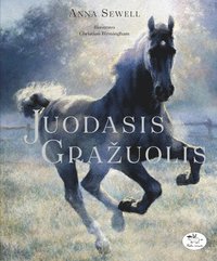 bokomslag Juodasis gražuolis