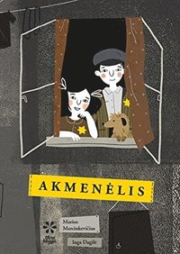 bokomslag Akmenelis