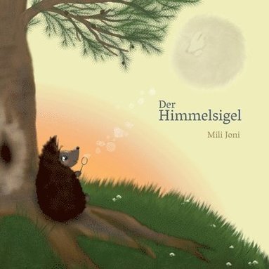 bokomslag Der Himmelsigel