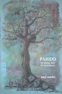 bokomslag Parido
