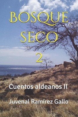 bokomslag Bosque seco 2: Cuentos aldeanos II