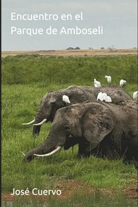 bokomslag Encuentro en el Parque de Amboseli