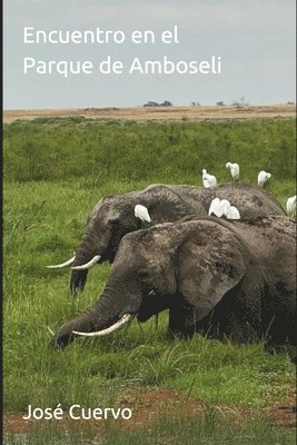 Encuentro en el Parque de Amboseli 1