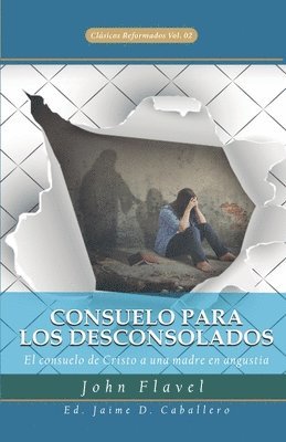 bokomslag Consuelo para los Desconsolados