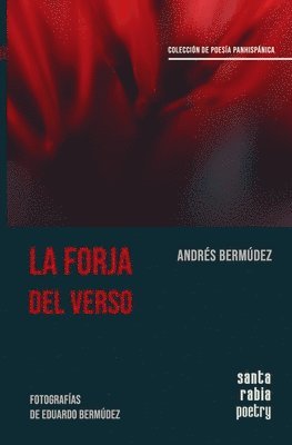 Andrés Bermúdez - forja del verso, Häftad