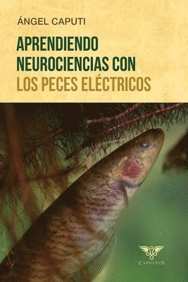 bokomslag Aprendiendo neurociencias con los peces eléctricos