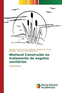 bokomslag Wetland Construdo no tratamento de esgotos sanitrios
