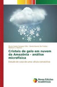 bokomslag Cristais de gelo em nuvem da Amaznia - anlise microfsica
