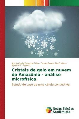 Cristais de gelo em nuvem da Amaznia - anlise microfsica 1