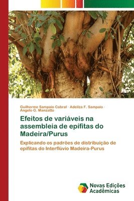 Efeitos de variveis na assembleia de epfitas do Madeira/Purus 1