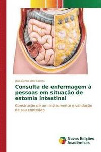 bokomslag Consulta de enfermagem  pessoas em situao de estomia intestinal