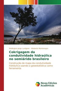 bokomslag Cokrigagem da condutividade hidralica no semirido brasileiro