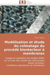 bokomslag Modelisation Et Etude Du Colmatage Du Procede Bioreacteur a Membranes
