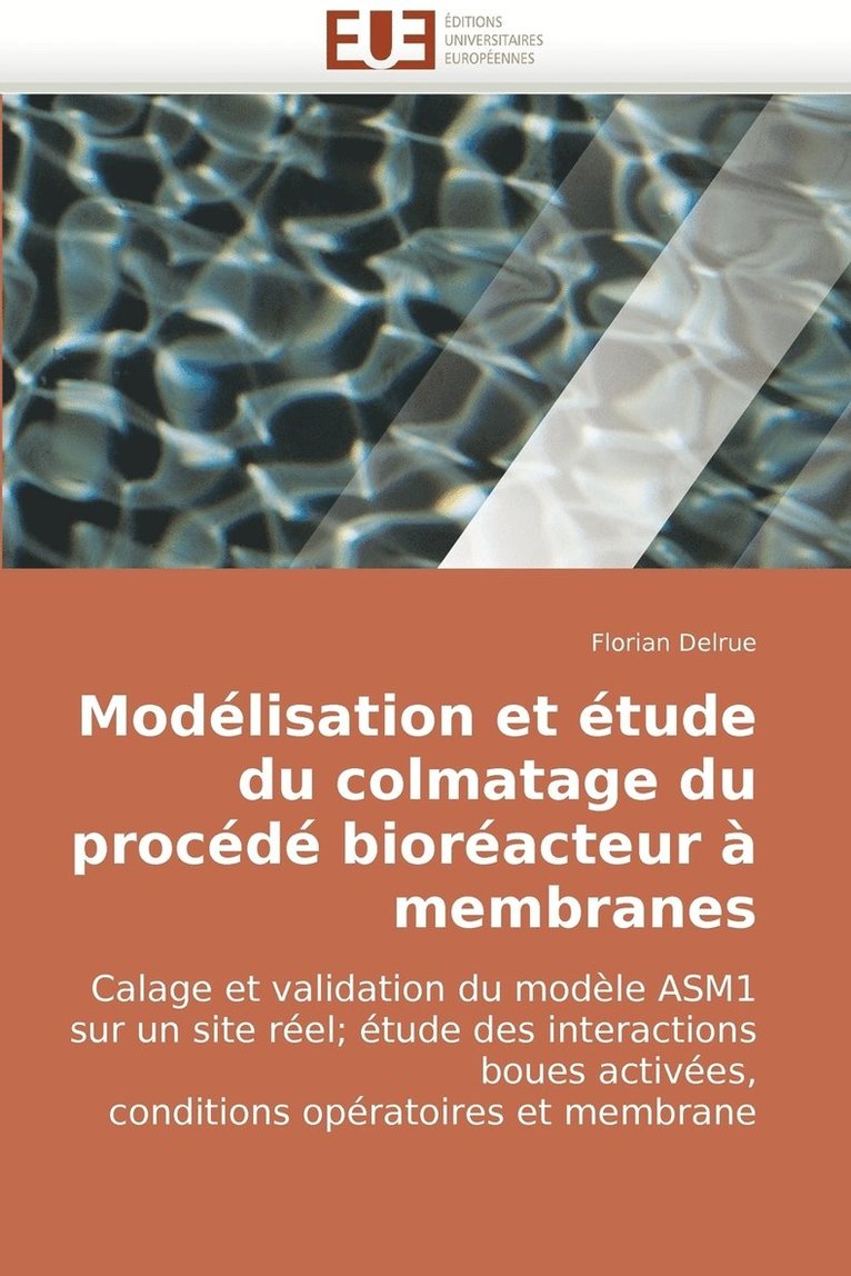 Modelisation Et Etude Du Colmatage Du Procede Bioreacteur a Membranes 1