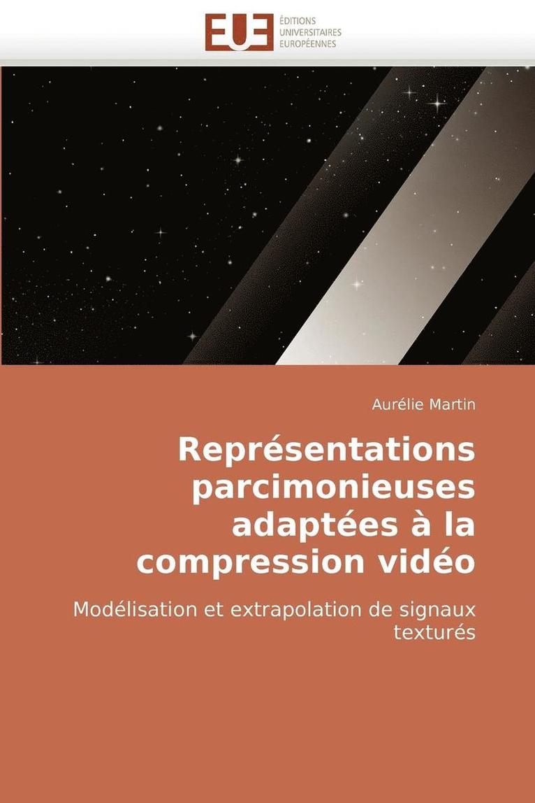 Repr�sentations Parcimonieuses Adapt�es � La Compression Vid�o