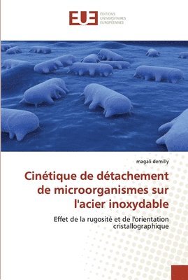 bokomslag Cinetique de detachement de microorganismes sur l''acier inoxydable