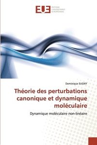 bokomslag Theorie des perturbations canonique et dynamique moleculaire