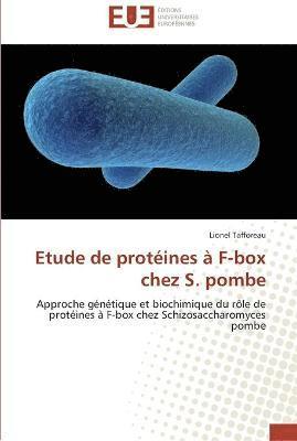 Etude de protines  f-box chez s. pombe 1