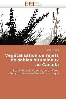 V g talisation de Rejets de Sables Bitumineux Au Canada 1