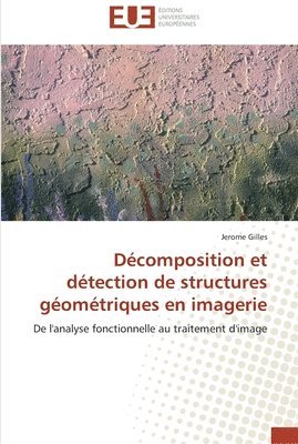 bokomslag Dcomposition et dtection de structures gomtriques en imagerie