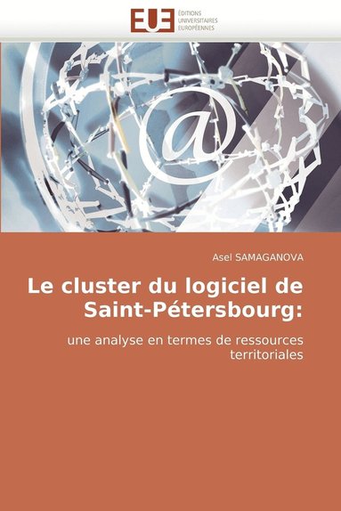 bokomslag Le Cluster Du Logiciel de Saint-Petersbourg
