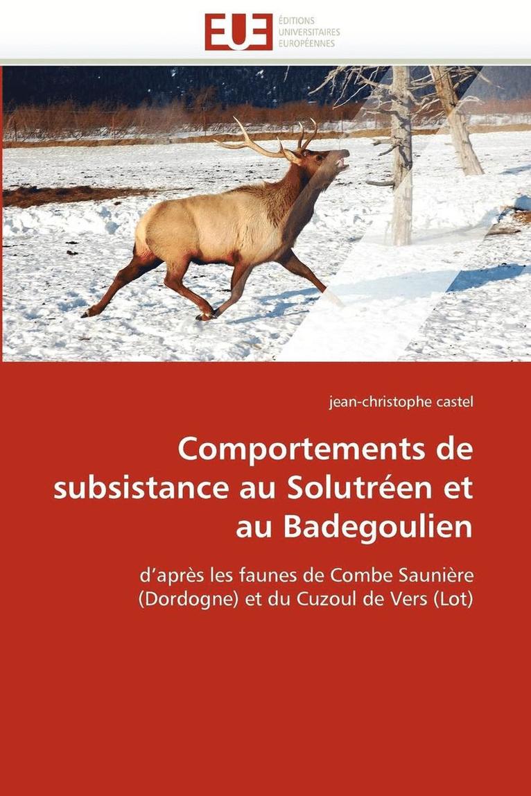 Castel-J, CASTEL-j, Jean-Christophe Castel - Comportements de Subsistance Au Solutr�en Et Au Badegoulien, Häftad