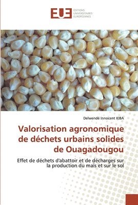 bokomslag Valorisation agronomique de dchets urbains solides de Ouagadougou