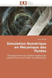 bokomslag Simulation Numerique En Mecanique Des Fluides