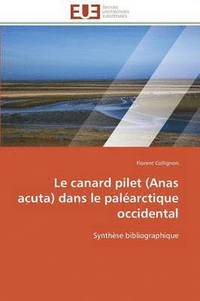 bokomslag Le Canard Pilet (Anas Acuta) Dans Le Pal arctique Occidental