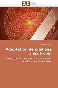 bokomslag Adaptation de Maillage Anisotrope