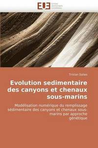 bokomslag Evolution Sedimentaire Des Canyons Et Chenaux Sous-Marins