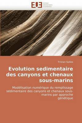 Evolution Sedimentaire Des Canyons Et Chenaux Sous-Marins 1