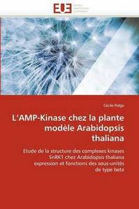 bokomslag L Amp-Kinase Chez La Plante Mod le Arabidopsis Thaliana
