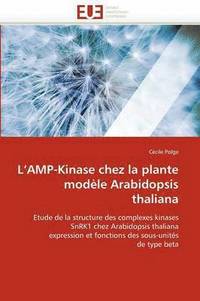 bokomslag L amp-kinase chez la plante modèle arabidopsis thaliana