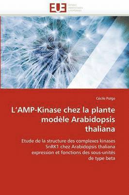 bokomslag L amp-kinase chez la plante modèle arabidopsis thaliana