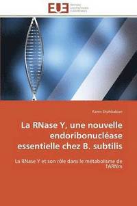 bokomslag La Rnase Y, Une Nouvelle Endoribonucl ase Essentielle Chez B. Subtilis