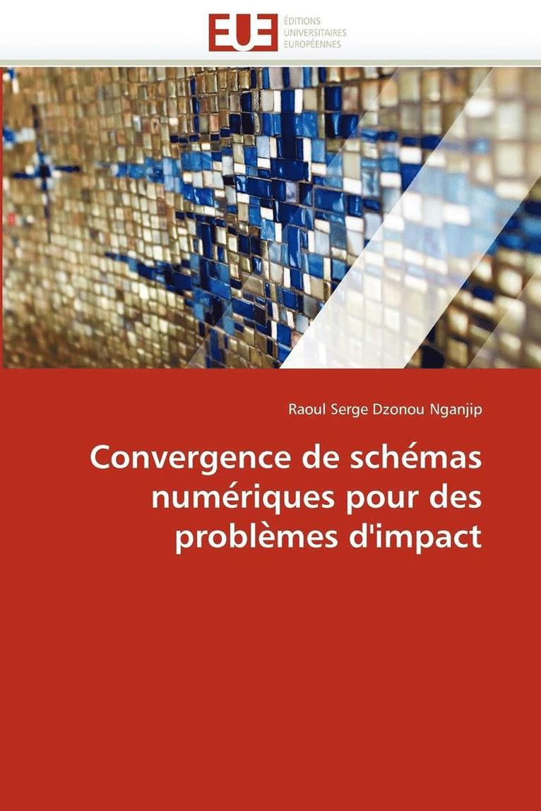 Nganjip-R, NGANJIP-R, Raoul Serge Dzonou Nganjip - Convergence de Sche Mas Nume Riques Pour Des Proble Mes d''impact, Häftad