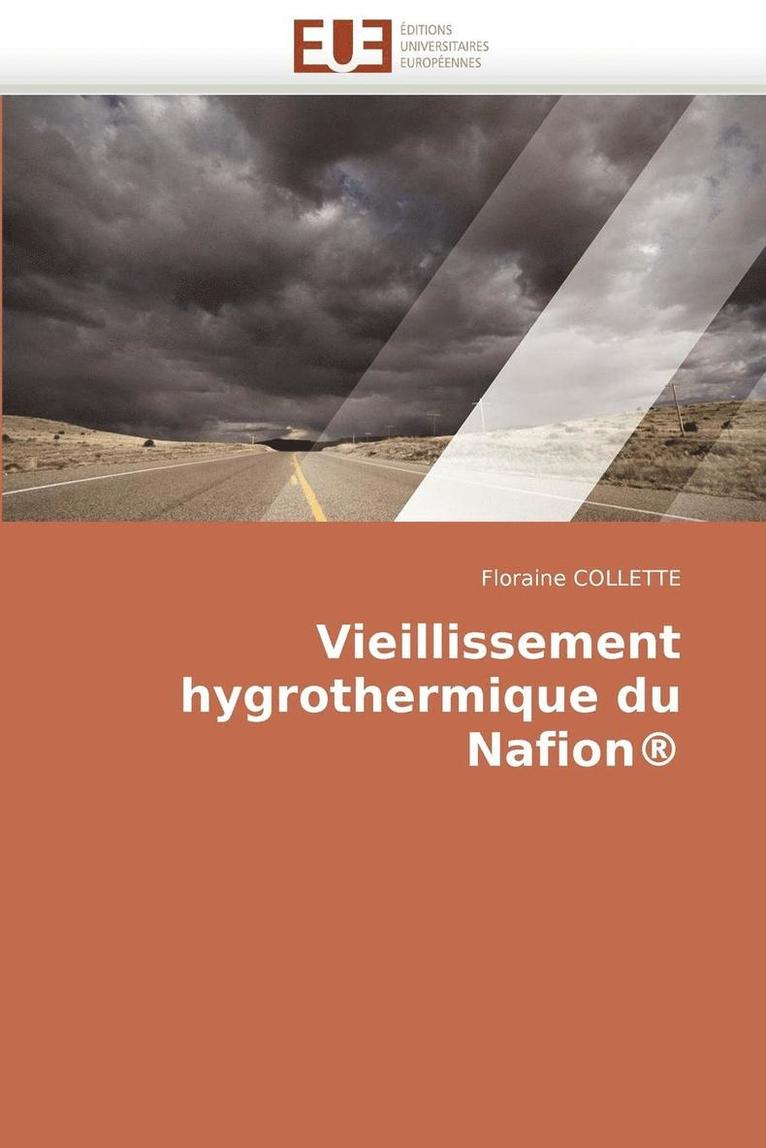 Vieillissement Hygrothermique Du Nafiona(r) 1