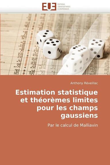 bokomslag Estimation Statistique Et Th?or?mes Limites Pour Les Champs Gaussiens